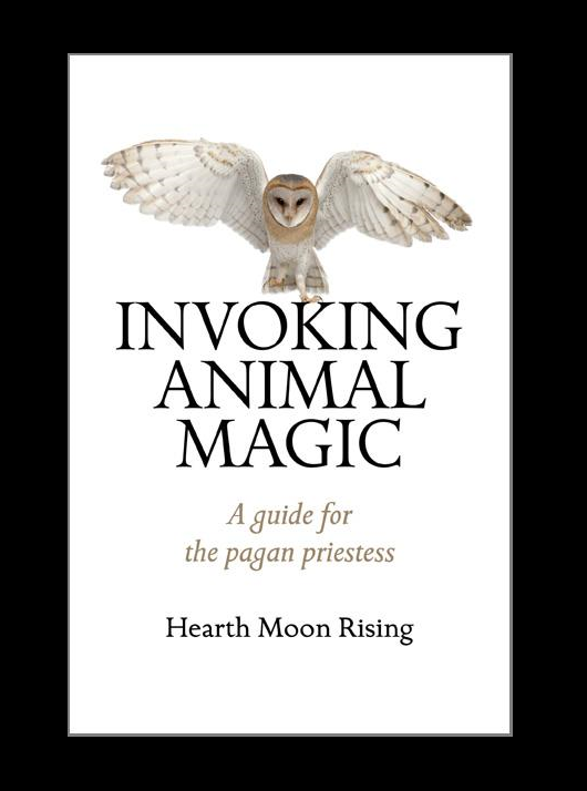 picture of book
